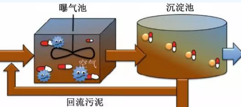 污水厂的污泥处理