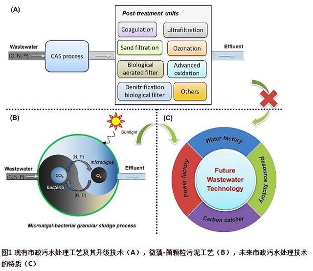 未来市政污水处理技术路在何方？以微藻-菌颗粒污泥工艺为例